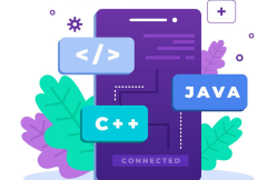 Java full stack developer course